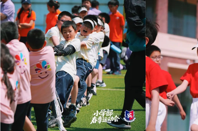 175453151920988722Tu.png 360截图17040512889392.png